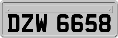 DZW6658