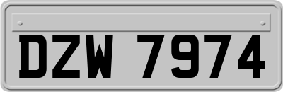 DZW7974