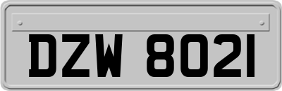 DZW8021