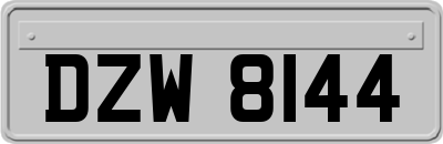 DZW8144