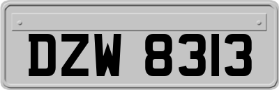 DZW8313