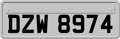 DZW8974