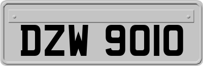 DZW9010