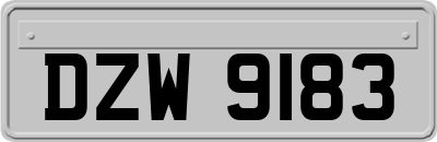 DZW9183