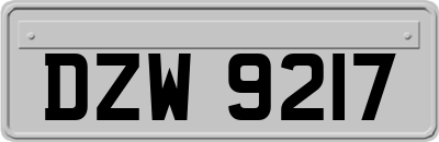 DZW9217