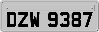 DZW9387