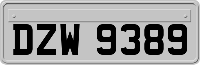 DZW9389