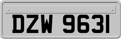 DZW9631