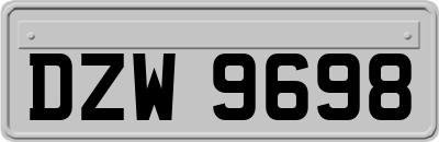 DZW9698