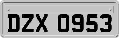 DZX0953