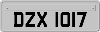 DZX1017