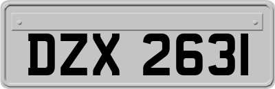 DZX2631