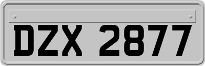 DZX2877