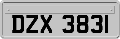 DZX3831