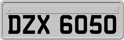 DZX6050