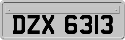 DZX6313