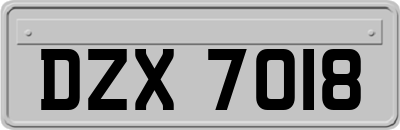 DZX7018