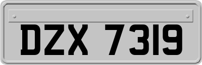 DZX7319