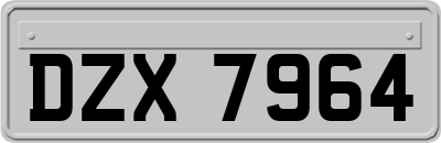 DZX7964