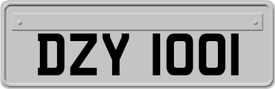DZY1001