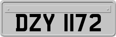 DZY1172