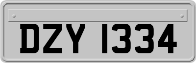 DZY1334