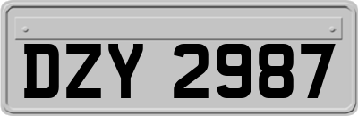 DZY2987