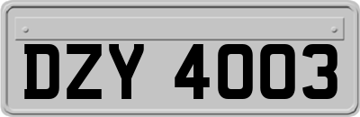 DZY4003