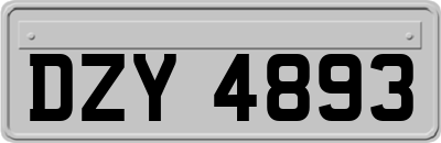 DZY4893