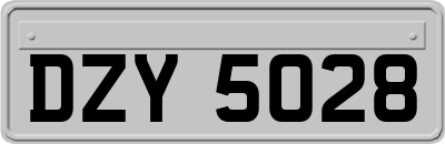 DZY5028