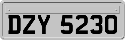 DZY5230