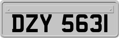 DZY5631