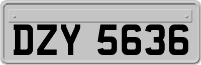 DZY5636