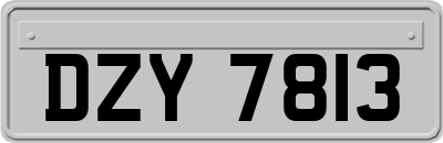 DZY7813