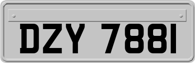 DZY7881