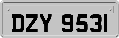 DZY9531