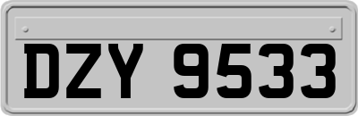 DZY9533