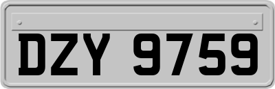 DZY9759