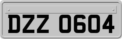 DZZ0604