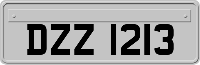 DZZ1213