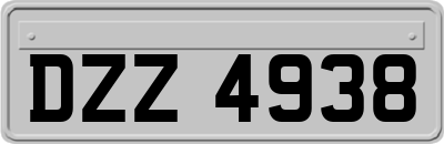 DZZ4938
