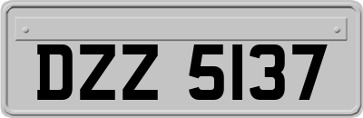 DZZ5137