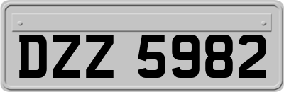 DZZ5982