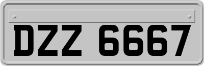 DZZ6667