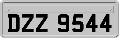 DZZ9544