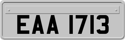 EAA1713