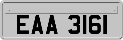 EAA3161