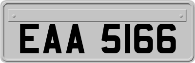 EAA5166
