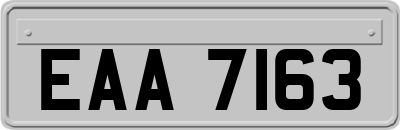 EAA7163