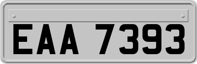 EAA7393